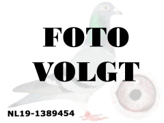 1_NL19-1389454_foto_volgt