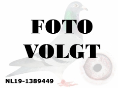 NL19-1389449_foto_volgt