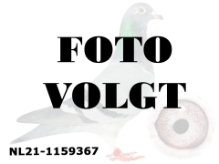 NL21-1159367_foto_volgt